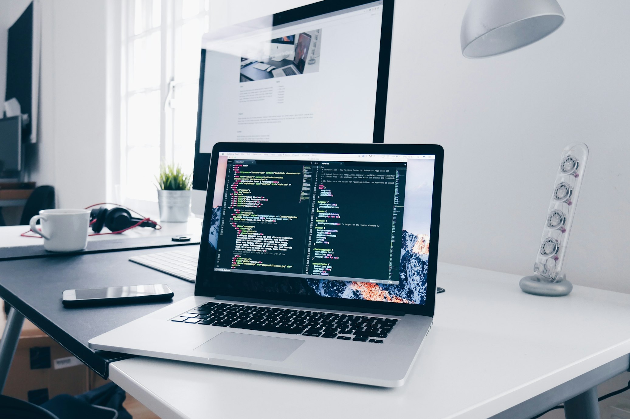 Professional developer workspace